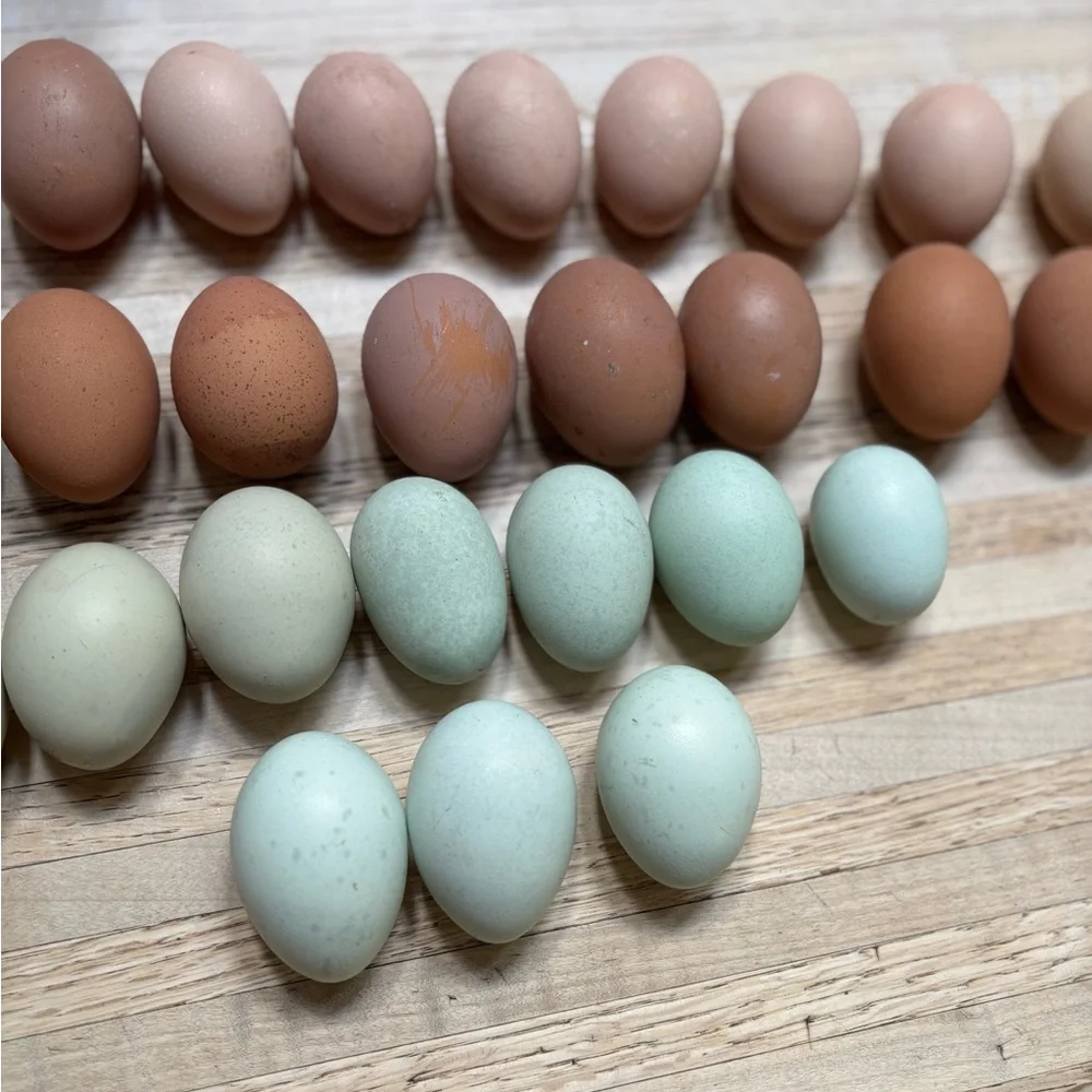 Hatching eggs 🪺 - Picture 13 of 15